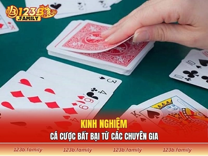 Kinh nghiệm cá cược bất bại từ các chuyên gia